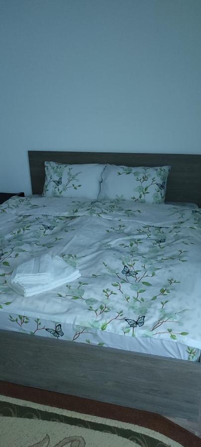 Sibiu Apartament 布加勒斯特 外观 照片